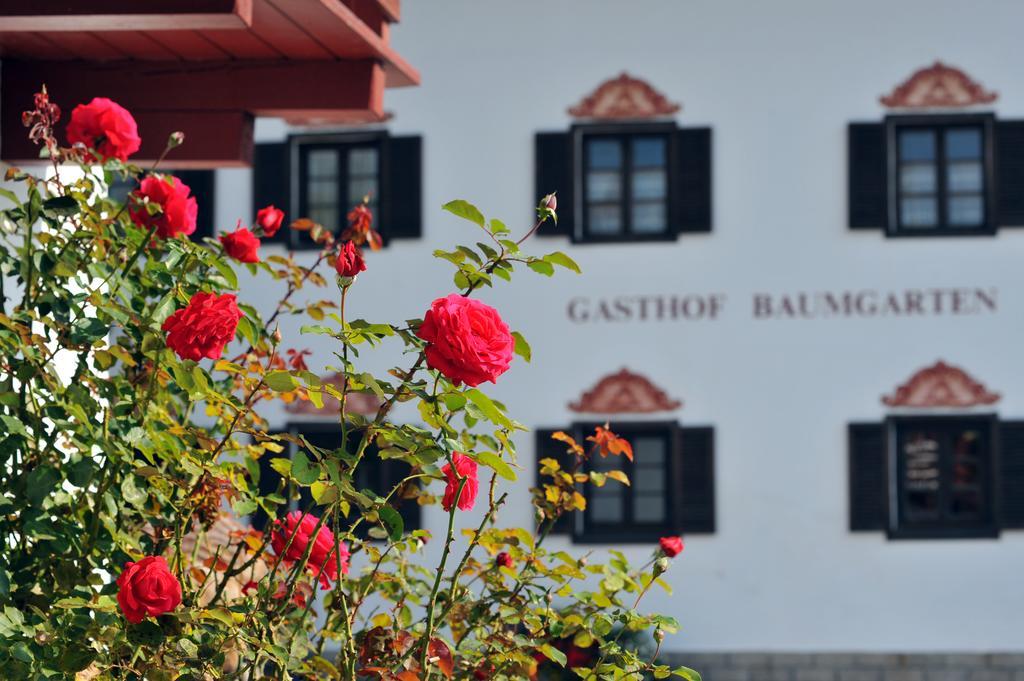 Hotel Baumgarten & Chalet Baumgarten Angerberg  Extérieur photo